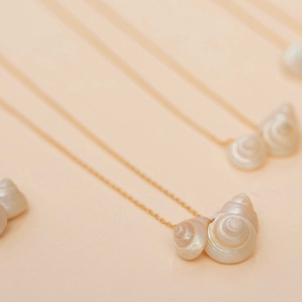 Shell Necklace Etsy