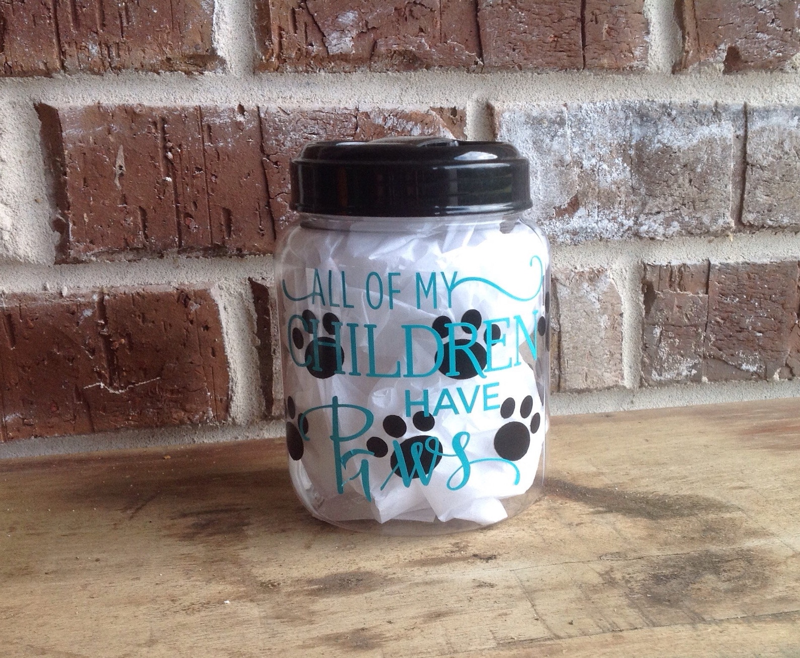 Pet Treat Jardog or Cat Treat Holdercontainer Etsy