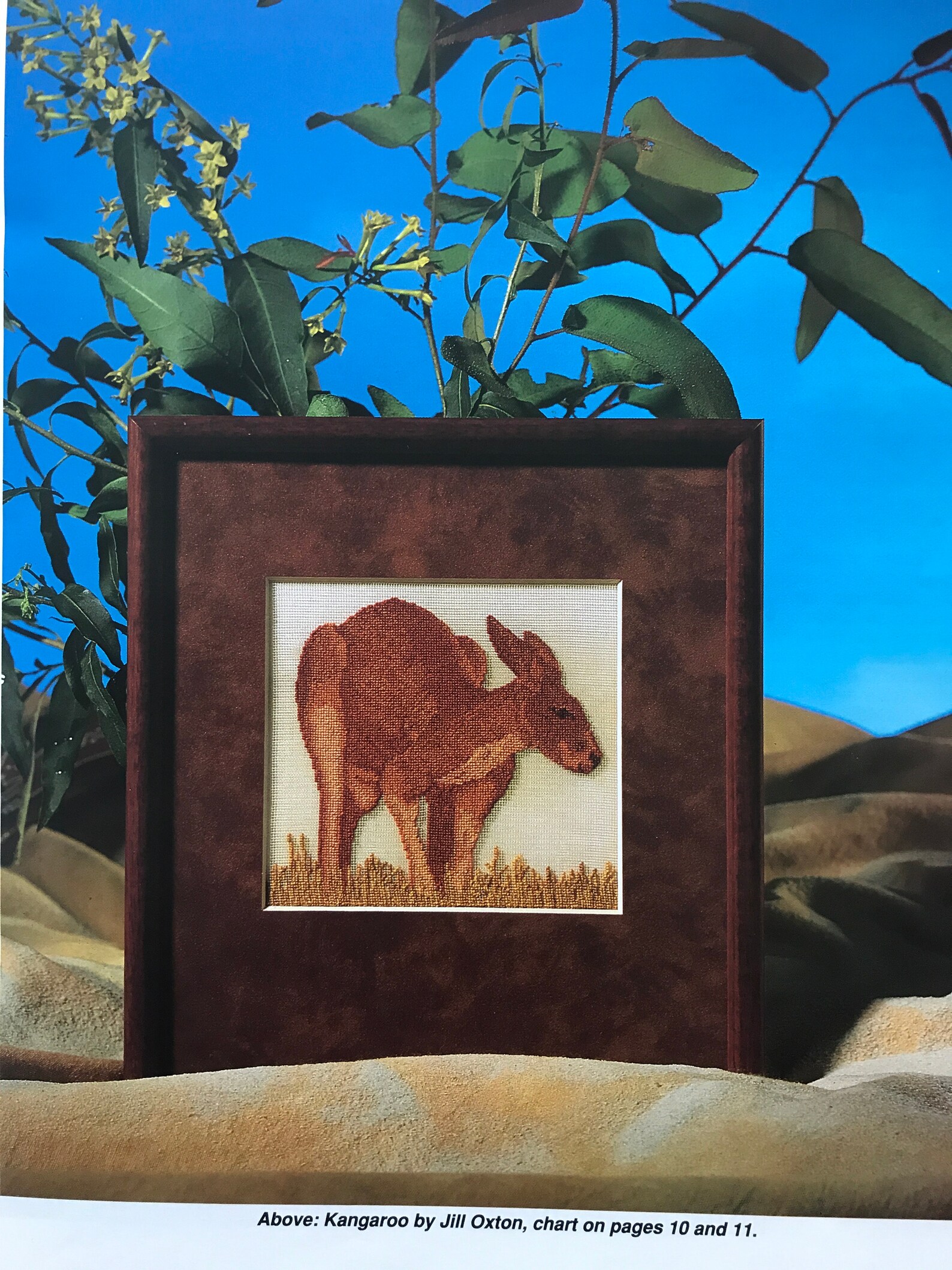 Jill Oxtons Cross Stitch Australia 13 Charted Designs for Etsy