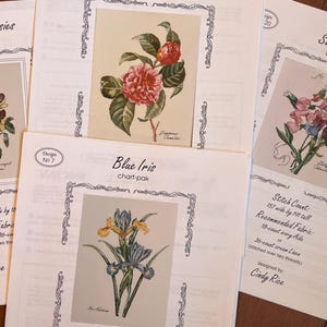 Könnte beinhalten: Mehrere Kreuzstich-Chart-Paks werden gezeigt, die florale Designs zeigen. Die Charts enthalten Bilder von Stiefmütterchen, einer Kamelie, blauen Iris und duftenden Erbsen. Jedes Chart-Pak enthält den Designnamen und den Namen des Designers.