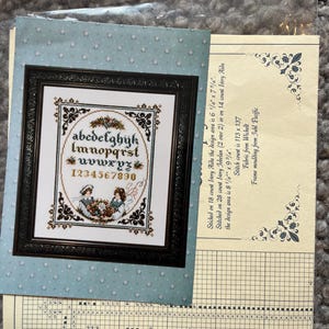 Può includere: Un kit per punto croce incorniciato con alfabeto e numeri, con disegni floreali e figure. La cornice è nera. Il motivo è su sfondo azzurro. Include un diagramma e le istruzioni.