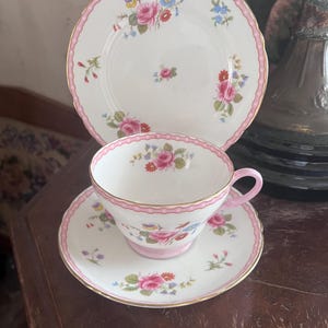 Shelley New Cambridge  Trio, Cup, saucer, plate, made in England, floral bouquet pink trim