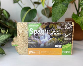 Spagmoss 100g Besgrow New Zealand Compressed Brick