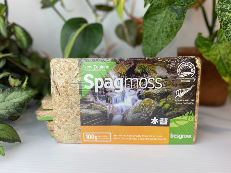 Besgrow New Zealand Sphagnum Moss - Thumbnail 4
