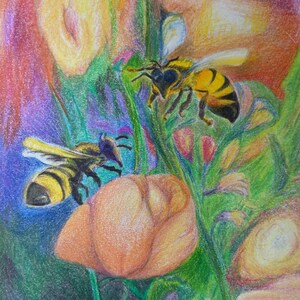 Busy Bee Colorful Pencil Drawing Closeup of Bees and Flowers Original Printable Wall Art Bright Pencil Drawing
