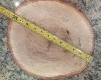 Four (4) Large (11-12 inch diameter) oak discs for crafts and decorating.