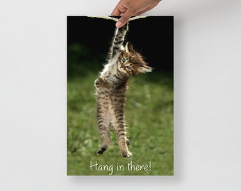 Hang in There Poster - Cat - DFV - Roaring Kitty - Keith Gill