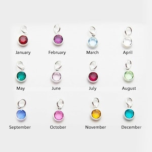 10 Crystal Birthstone Charms, Choose Your Month 6mm Drop Crystals with Jump Rings (T-49)