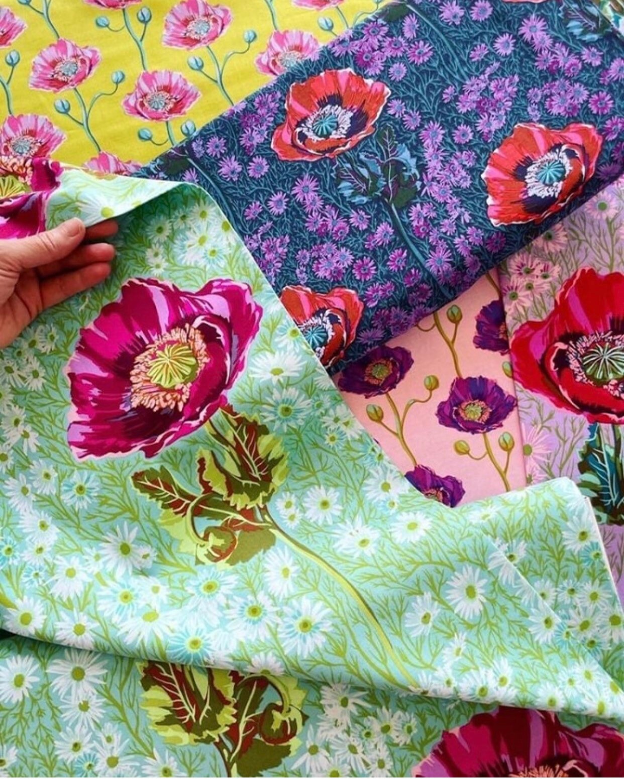 FQ Bright Eyes Bundle by Anna Maria Horner for Freespirit Fabrics, Full Collection 22 Pieces
