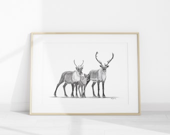 The Caribous Family - Print