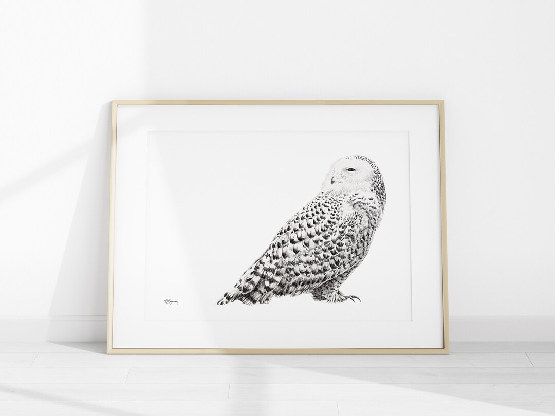 Snowy owl print Le Nid atelier Wildlife Illustration Etsy 日本