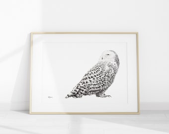 Snowy owl print -  Le Nid atelier- Wildlife Illustration