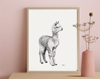 Baby Alpaca - Print