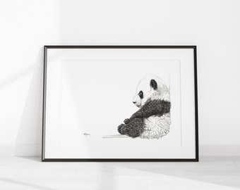 Adorable Baby Panda - Poster