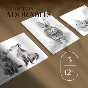 Ensemble 3 cartes - Collection Les Adorables
