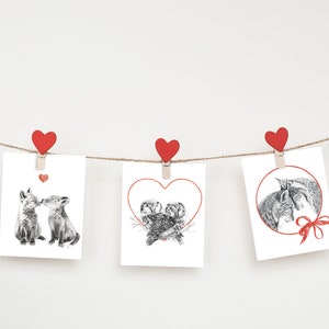 Ensemble de 3 cartes - St-Valentin, Renards, lynx et Chouettes en amour
