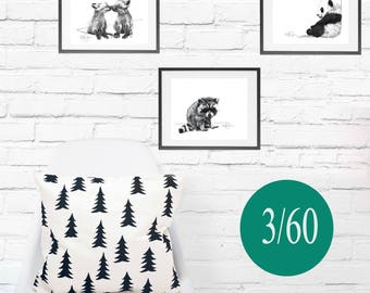 Special 3 prints of any animal for 60 (8x10)