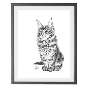 Maine coon cat print