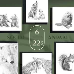 Ensemble 6 cartes - Collection Social Animal