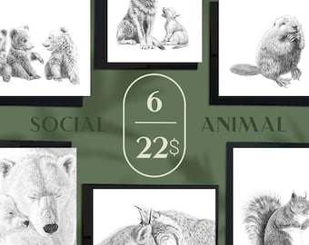 10 Cards Bundle - Social Animal Collection