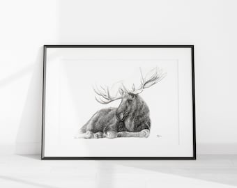 Moose print - Moose illustration 8x10, 12x18