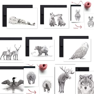 10 Cartes de souhaits pour 30 - Collection Forêt Boréale