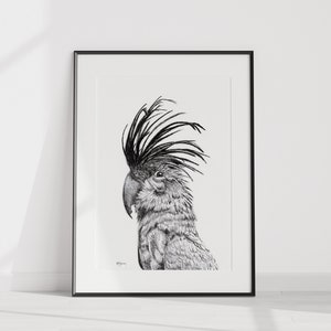 Cockatoo Portrait Print image 1