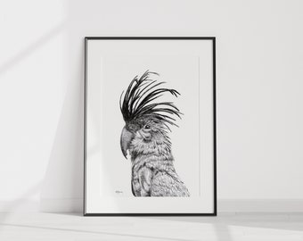 Cockatoo Portrait - Print