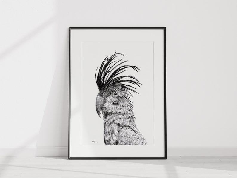 Cockatoo Portrait Print image 1