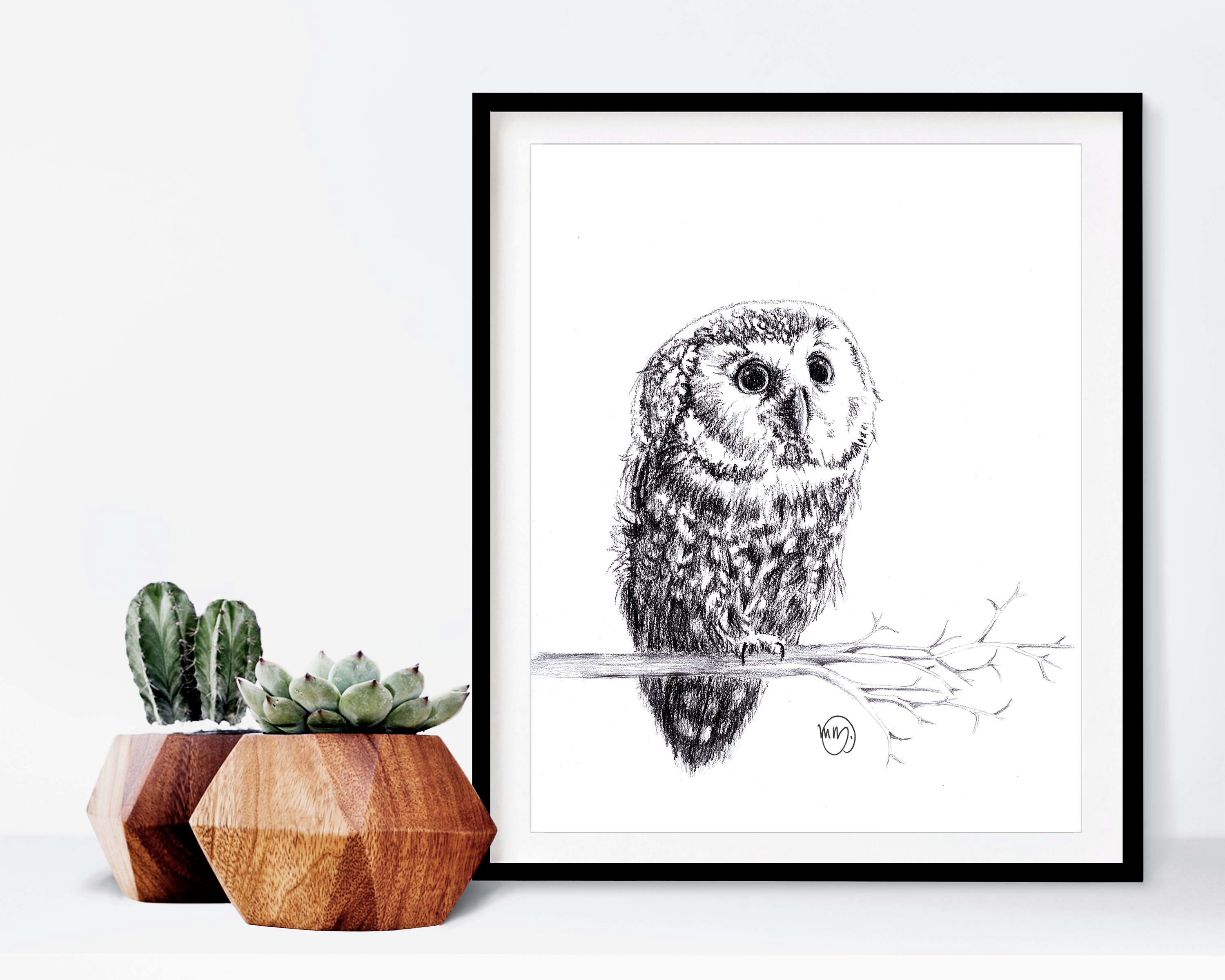Baby Owl Print 8 X 10 Etsy