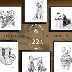 Ensemble 6 cartes - Collection Les Adorables