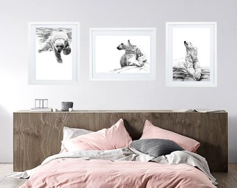 Special 3 Polar Bear prints - large Polar Bear prints