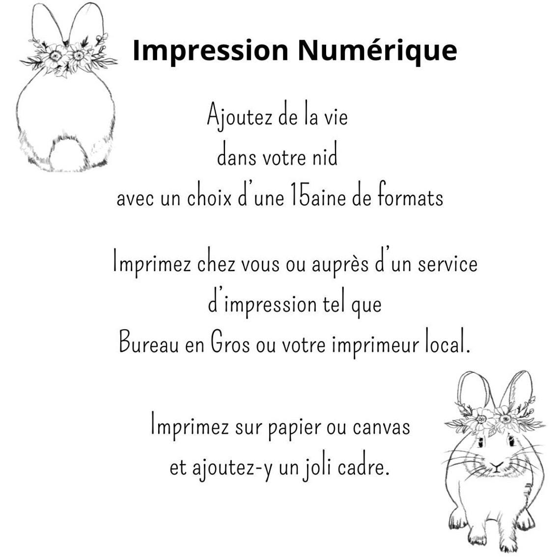 Set of 2 Printable Rabbit Posters, Rabbit Art Kids Baby Animal ...