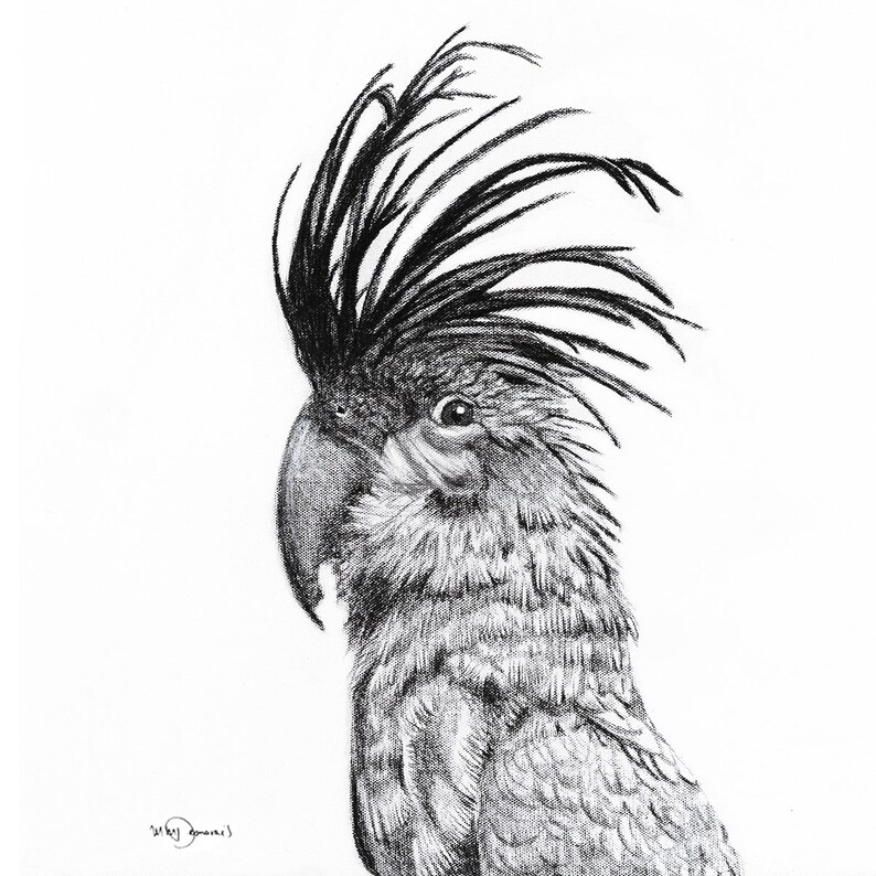 Cockatoo Portrait Print image 2