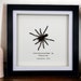 see more listings in the Framed Specimens section