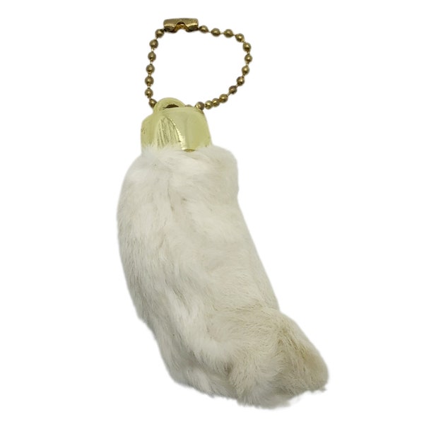 LUCKY Lapin taxidermie des pieds porte-clés pendentif porte-clés naturel dans un sac en organza, bizarreries, objet de collection, folklore nord-américain, amulette