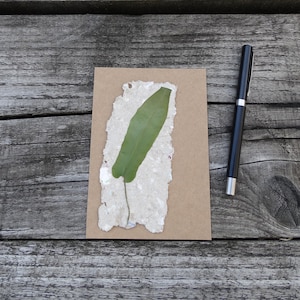 Jeu de cartes nature « Le congé »
