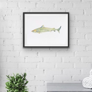 Tiger Shark wall art, shark wall decor, ocean art, sea life wall art, sea life art, shark, beach art, beach decor, ocean decor, beach art