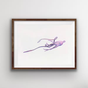 Giant squid, beach art, water color painting, beach art, beach decor, ocean art, ocean decor, squid painting, nautical art, nautical decor