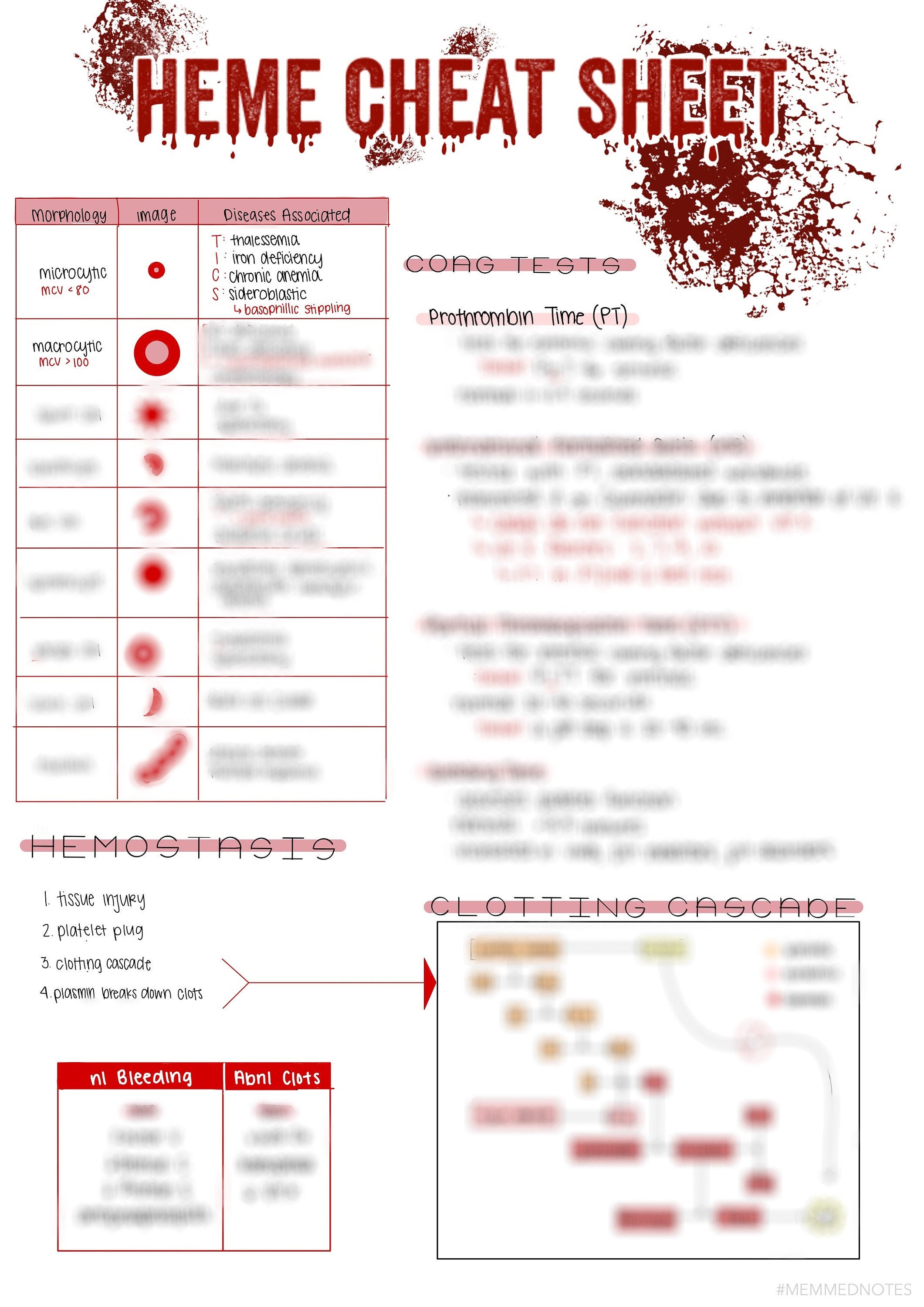 Heme Cheat Sheet - Etsy