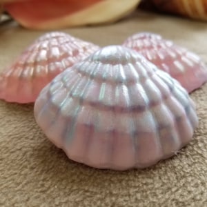 May include: Three iridescent pink seashells with a pearlescent finish. The shells are arranged in a triangular shape with the largest shell in the center.
