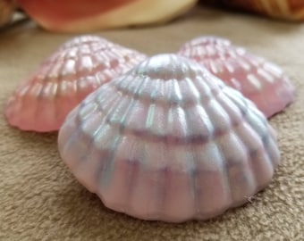 Soap - Sea Shell Soap - Set of Four Scallop Shell Soaps