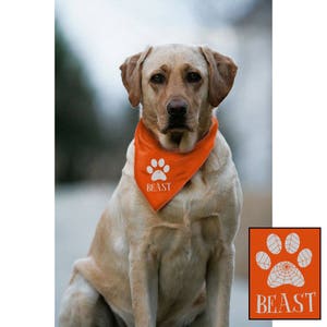 May include: A golden Labrador Retriever wearing an orange bandana with a white paw print and the word "BEAST". The dog is sitting and looking at the camera. A small square graphic of the paw print and the word "BEAST" is in the lower right corner.
