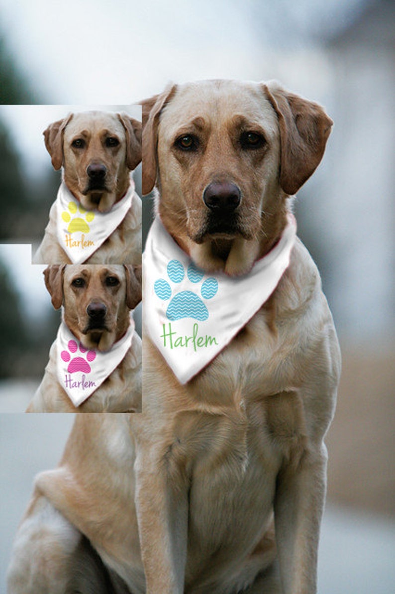 Custom Dog Bandana / Dog accessories / Dog Paw Print / Chevron Etsy