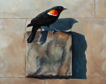 Red-winged Blackbird 24"x24"x1.5" Original Wildlife Oil Painting