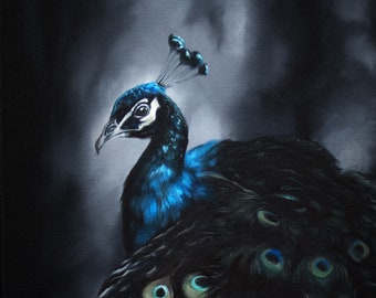 Peacock Original Oil Painting 12"x12"x.75"