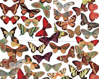 Butterfly Wings Collage Clip Art Digital Download Printable #209