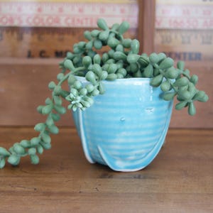 McCoy Fish Hook Planter