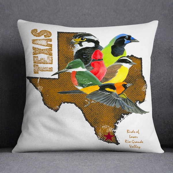 Pillow Cover, Lower Rio Grande Valley birds, Green Jay, Altamira Oriole, Great Kiskadee, Green Kingfisher, Aplomado Falcon, COVER ONLY