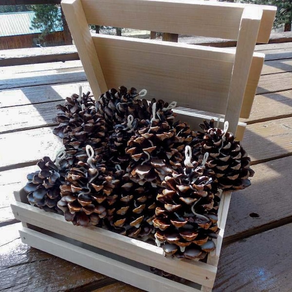 Bundle of Pine Cone Fire Starters (25)